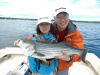 Merrimack River striper caught by Melody